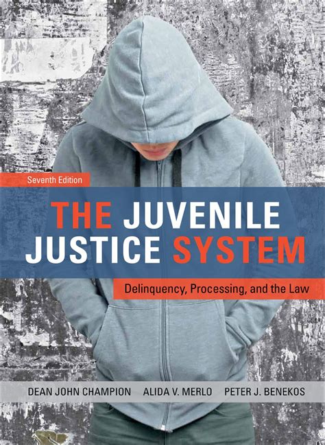 the juvenile justice system ebook rental law books law justice