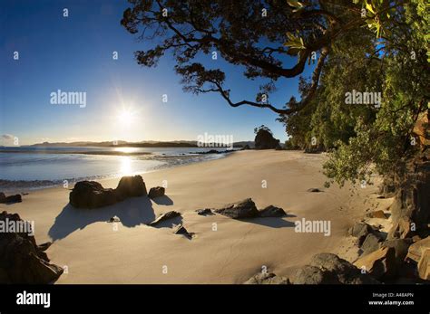 Deserted Beach At Opera Point Whangapoua Harbour Coromandel Peninsula