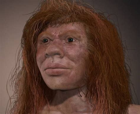 Dna Reveals The First Evidence Of Neanderthal And Denisovan Hybrid