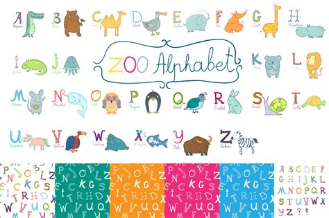Cute Zoo Alphabet For Childrens Illustrations Creative Market
