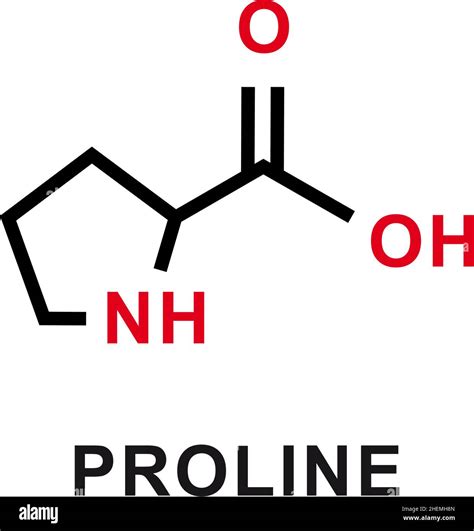 Proline Chemical Formula Proline Chemical Molecular Structure Vector
