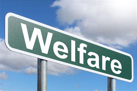 Welfare Rights Vs Welfare States Public Discourse