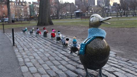 Make Way For How Cute The Boston Public Garden Ducklings Are With