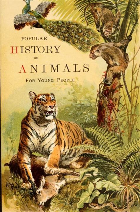 See A Gorgeous Book On The Animal Kingdom From 1895 Mental Floss