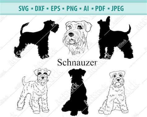 Schnauzer Svg Png Clipart Dxf Silhouette And Cut Files Drawing