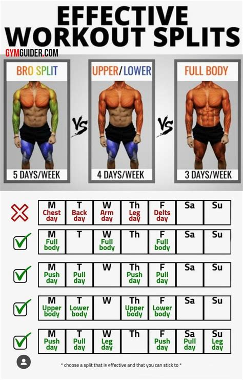 6 Day Muscle Gain Workout Plan 4 Weeks With Comfort Workout Clothes