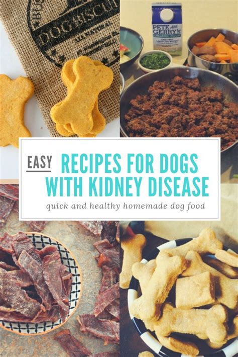Diet tips for a diabetic dog. Feeding a Dog with Kidney Disease | Dog kidney disease ...