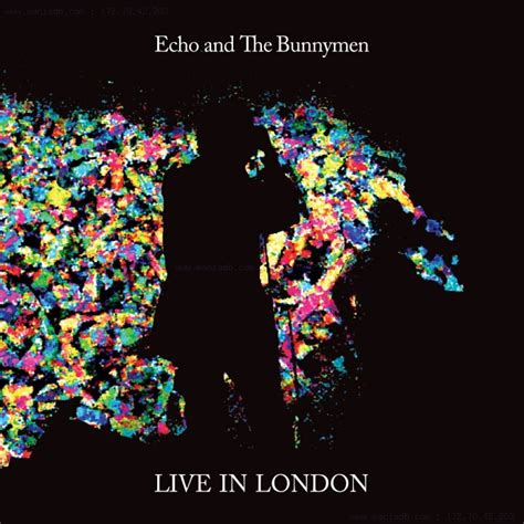 Echo And The Bunnymen Live In London 2014 Live 2014