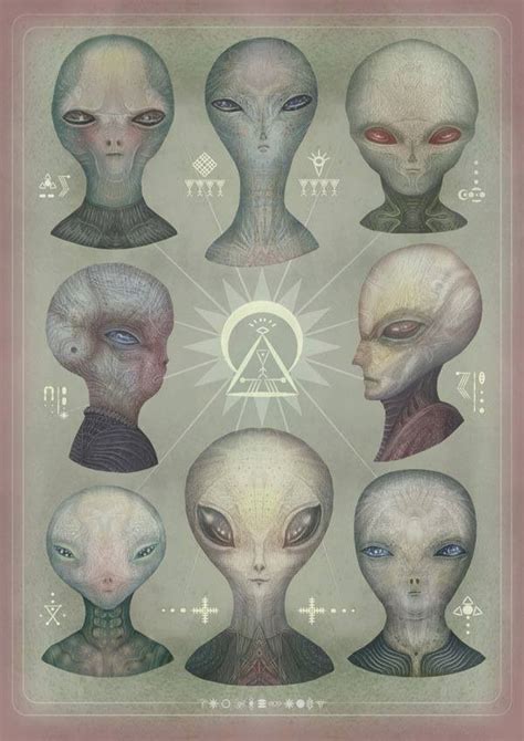 The Greys Animated Portrait Illustrations Of The Grey Alien Species By