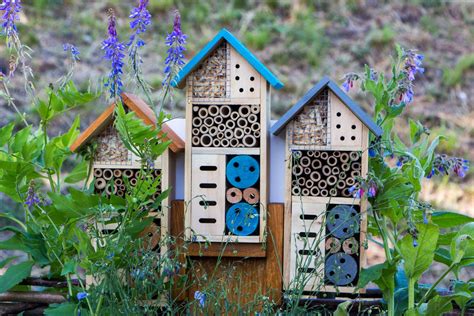 How to make your own insect hotel. DIY Insect Hotel: How To Make A Bug Hotel For Your Garden in 2020 | Insect hotel, Bug hotel diy ...