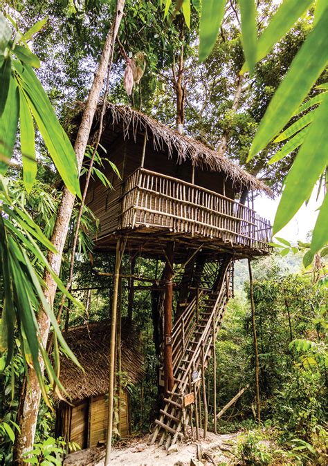 Rainforest Tree House Living It Up With Nature Edgepropmy