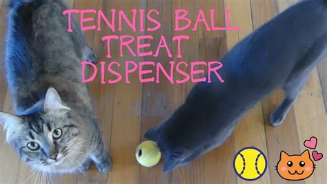 Diy cat treat vending machine may 2017. Simple DIY Cat Puzzle Food & Treat Dispenser Using a ...