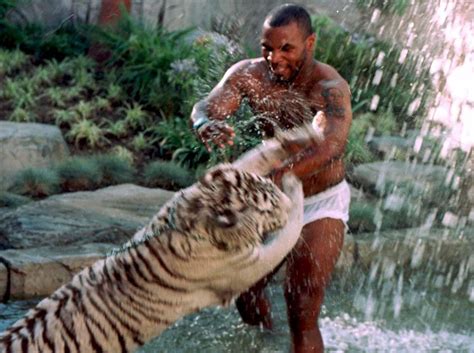 Mike Tyson Chokes Bengal Tiger In Throwback Photo Essentiallysports