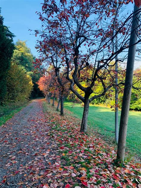 Get your team aligned with. Scopri il nostro ristorante sui colli bolognesi ...