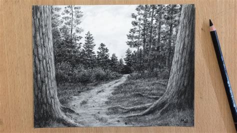 Forest Path Charcoal Drawing Youtube
