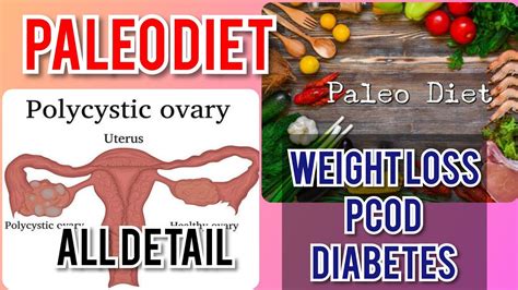 Paleo Diet In Tamil Weight Loss Diet உடல் எடை குறைக்கும் Paleo Diet Youtube