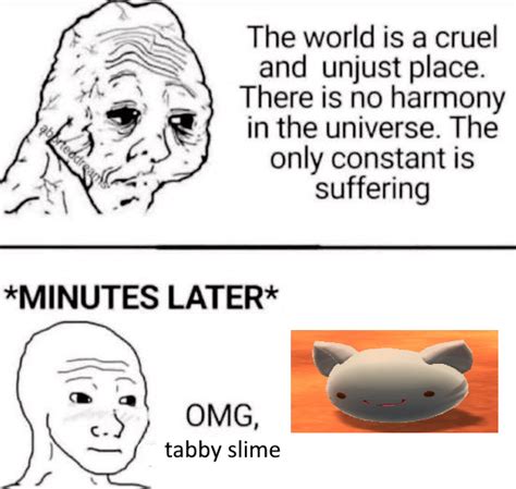 Dont We All Love The Cuddly Tabby Slimerancher