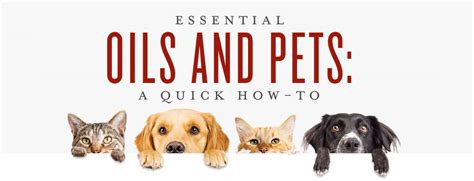 The best flea treatment to use is frontline plus. Essential Oils for Pets | Uses & Benefits | Young Living Blog