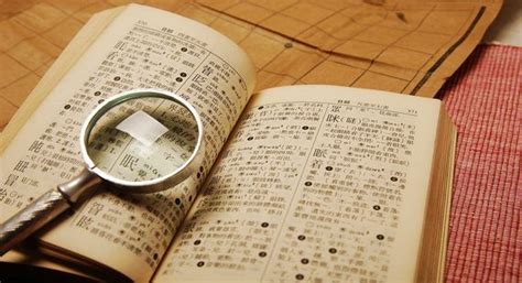 (they also have pronunciation, but for the sake of simplicity we'll. Should a Chinese Dictionary Include English words? | The ...