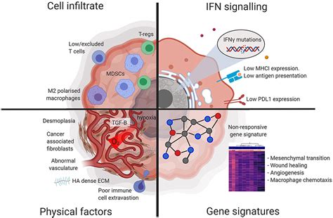 Frontiers Sensitizing The Tumor Microenvironment To Immune Checkpoint