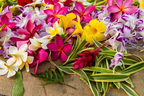 How These North Shore Locals Make The Most Beautiful Leis In Hawaii