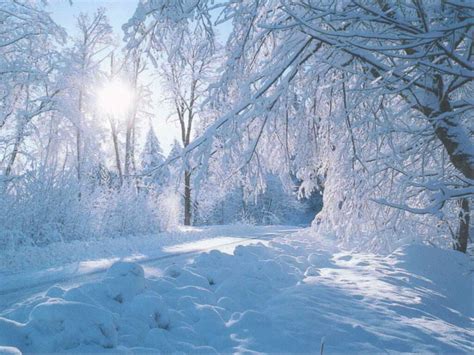 beautiful nature winter wallpaper |Wallpaper Express is all About