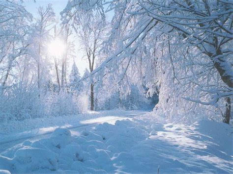 Beautiful Nature Winter Wallpaper Wallpaper Express Is