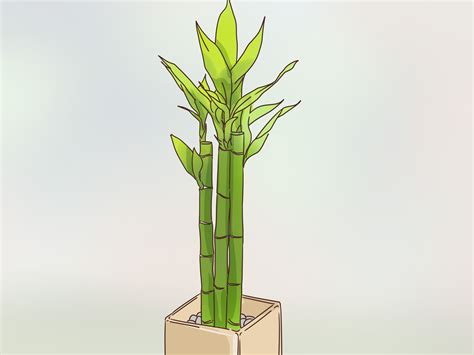 3 Ways to Be Bohemian - wikiHow