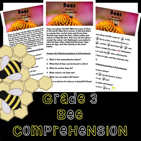 Bee Comprehension Grade 3 • Teacha