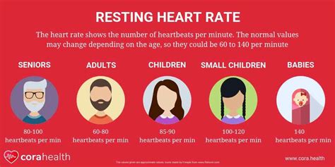 Resting Heart Rate Understand How To Calculate Your Heartbeat