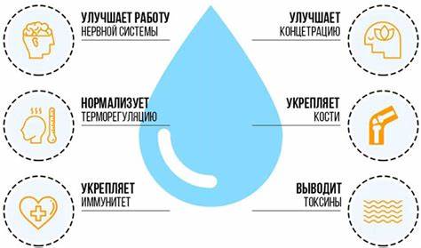 Высокобелковая диета при онкологии меню Высокобелковая диета. Меню низкоуглеводной белковой диеты 1200-1500 Высокобелковая диета. Меню низкоуглеводной белковой диеты 1200-1500 Высокобелковая диета при онкологии меню