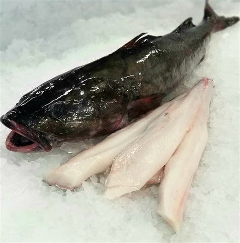 Cod Black California Royal Hawaiian Seafood Order Online