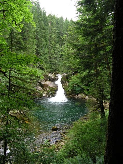 Siouxon Creek I Heart Pacific Northwest Ford Pinchot National