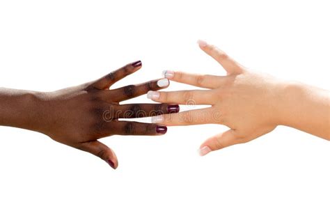 Black And White Hands Together Stock Image Image Of Concept