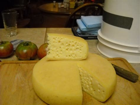 Swiss Cheese Testimonial (Emmental recipe) - Little Green Cheese