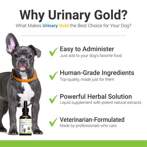 What Causes Urine Crystals In Dogs