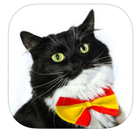 Church, spišská sobota meryratio.hu cat. 12 Best Apps for Learning Spanish Like a Boss