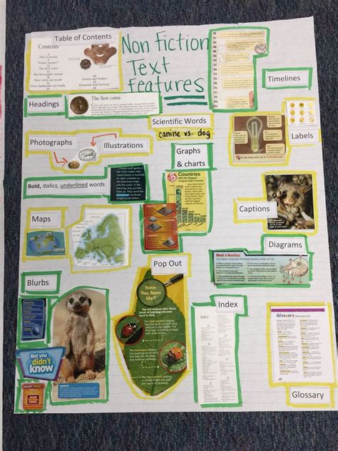 Non Fiction Text Features 2nd grade | Nonfiction texts, Text features