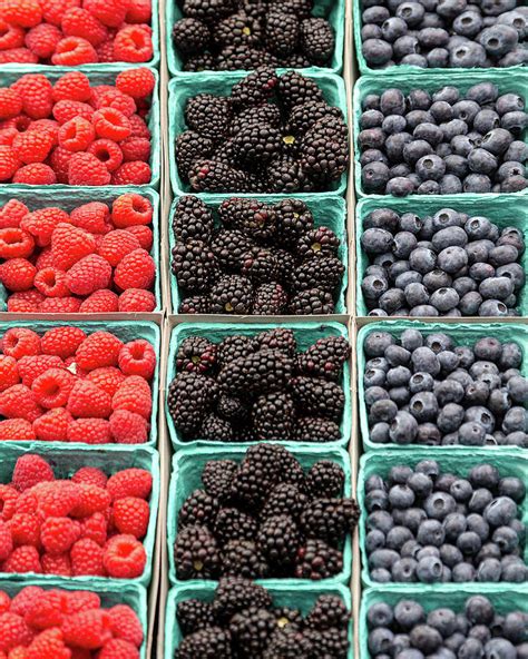 Farm Fresh Berries Photograph By Peter Tellone Fine Art America