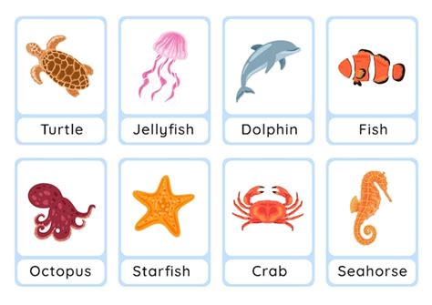 Premium Vector Ocean Animals Flashcard Collection For Children