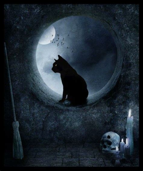 I Love Gothic ╋ Chat Halloween Image Halloween Halloween Night