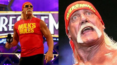 Fk The Hulk Hogan Wwe Legend Sends A Message To The Hulkster