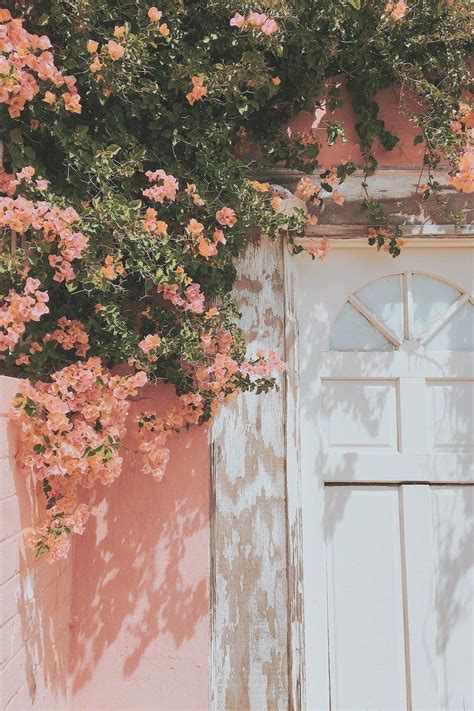 Designers also selected these stock photos. Peach Aesthetic Wallpapers - Top Free Peach Aesthetic ...