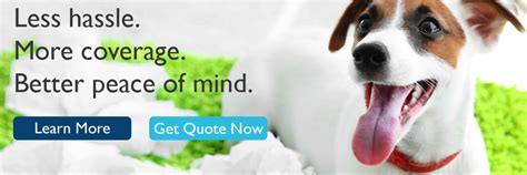 Get a Quote | Pet insurance reviews, Pet insurance, Dog ...