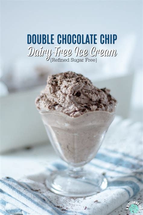 Double Chocolate Chip Dairy Free Ice Cream Without Ice Cream Maker A
