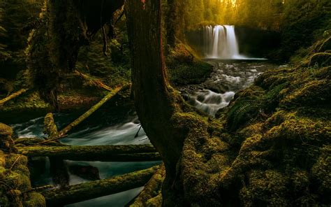 Wallpaper Sunlight Trees Landscape Forest Waterfall Rock Nature