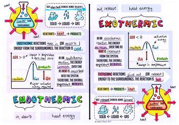 Lab, you will see a dramatic change involving copper(ii). Endothermic Vs Exothermic Worksheet - worksheet