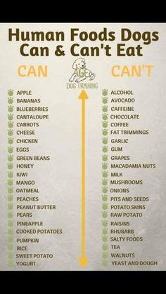 Be sure to look below this list for a helpful and shareable infographic to print out and keep on your fridge so you know what things dogs can't eat. Helpful list of foods that dogs can/can't eat :) | It's a ...