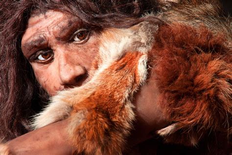 50000 Year Old Womans Toe Reveals Neanderthals Had Sex With Everyone