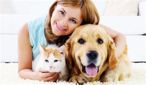 Ways To Keep Your Pet Healthy And Happy Pet Caring Tips